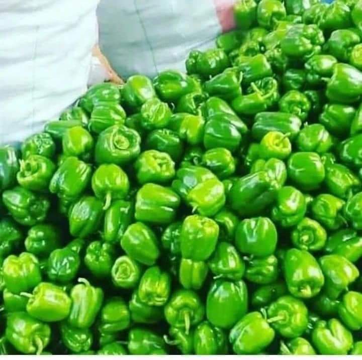 Capsicum Farming in Kenya