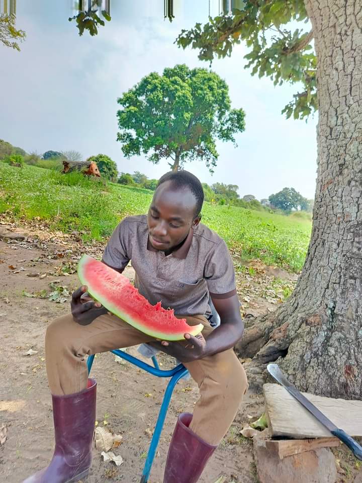 Watermelon Farming in Kenya